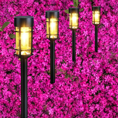 Best Outdoor Solar Lights
