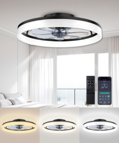 Low Profile Ceiling Fan