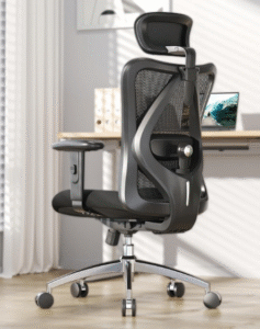 best office chair for lower back pain